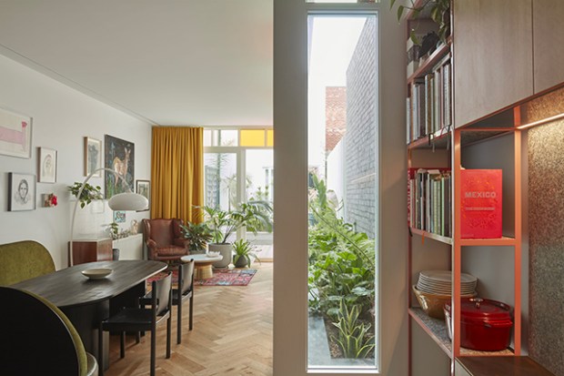 Conseilsdeco-deco-decoration-conseil-architecture-interieur-Rose-Street-Fieldwork-Architects-idees-amenager-maison-etroite-cosy-01