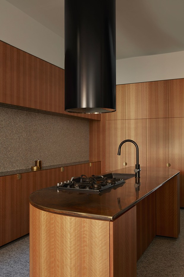 Conseilsdeco-deco-decoration-conseil-architecture-interieur-Rose-Street-Fieldwork-Architects-idees-amenager-maison-etroite-cosy-05