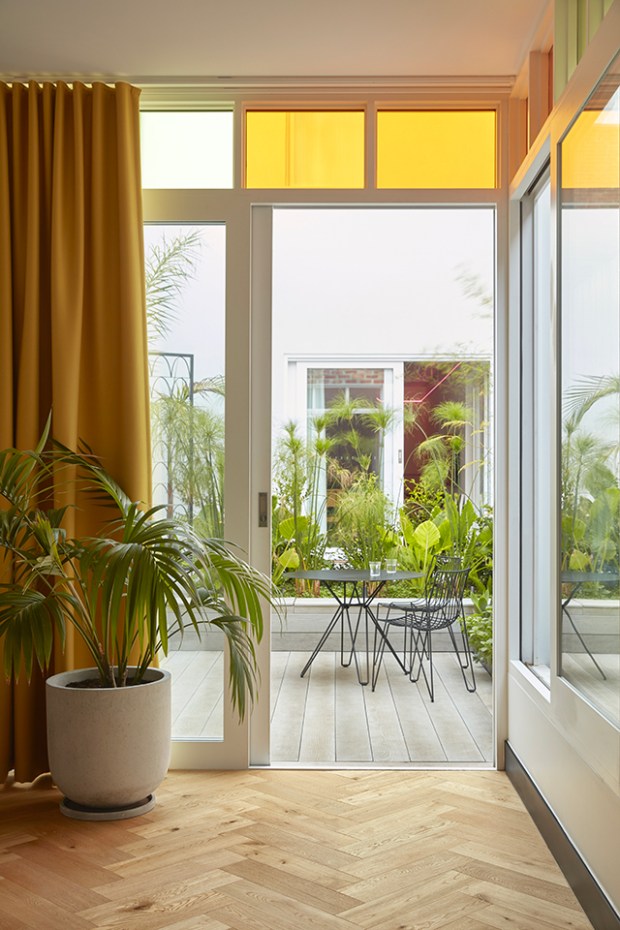 Conseilsdeco-deco-decoration-conseil-architecture-interieur-Rose-Street-Fieldwork-Architects-idees-amenager-maison-etroite-cosy-07