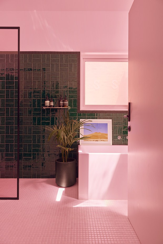 Conseilsdeco-deco-decoration-conseil-architecture-interieur-Rose-Street-Fieldwork-Architects-idees-amenager-maison-etroite-cosy-09